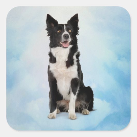 Border Collie Vierkante Sticker (Voorkant)