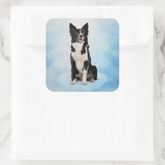 Border Collie Vierkante Sticker (Tas)