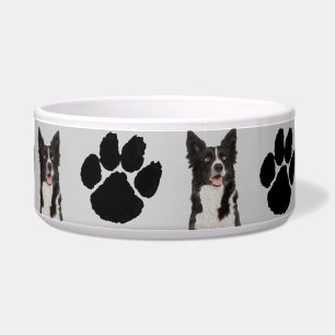 Border Collie Voerbakje