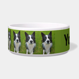 Border Collie Voerbakje