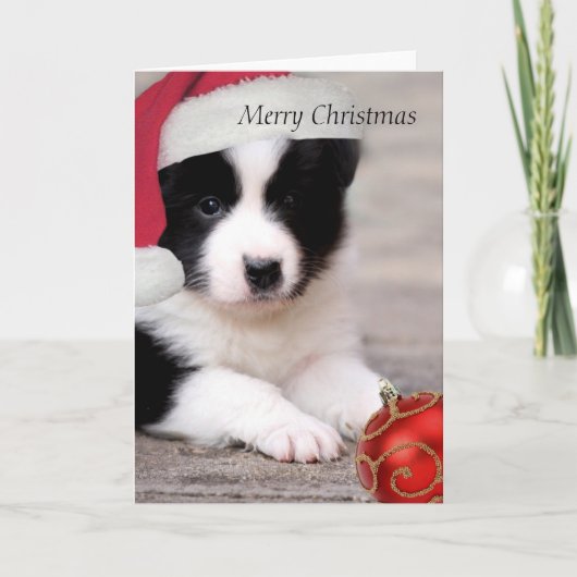 Border Collie - Vrolijk kerstkaartje Feestdagen Kaart (Voorkant)