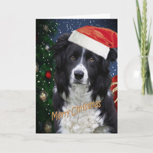 BORDER COLLIE VROLIJKE KERST KAARTEN