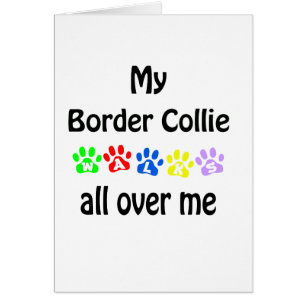 Border Collie wandelingen ontwerp