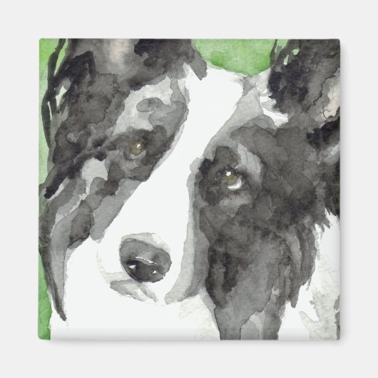 Border Collie Waterverf Magneet (Voorkant)