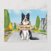 Border Collie We hebben Cute Dog Moving Aankondigingskaart (Voorkant)