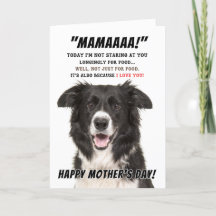 Border Collie Wenskaart