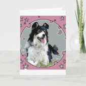 Border collie-Wenskaart Kaart (Voorkant)
