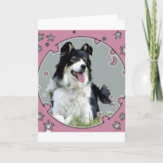 Border collie-Wenskaart Kaart (Voorkant)