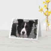 Border Collie Wenskaart Kaart (Gele Bloem)
