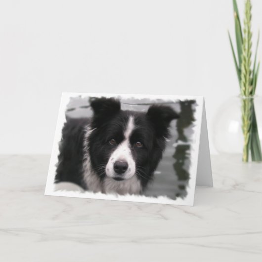 Border Collie Wenskaart Kaart (Voorkant)