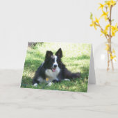 Border Collie Wenskaart Kaart (Gele Bloem)