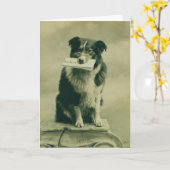  Border Collie Wenskaart Kaart (Gele Bloem)