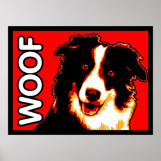Border Collie WOOF Poster (Voorkant)
