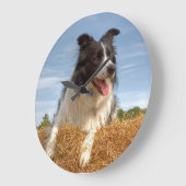 Border Collie Working Dog Grote Klok (Hoek)