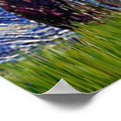 Border Collie (Z) - Sterrennacht Poster (Hoek)