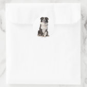 BORDER COLLIE ZWART-WIT PUPPY HOND RONDE STICKER (Tas)