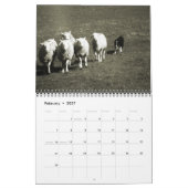 Border Collies Galore Kalender (Feb 2027)
