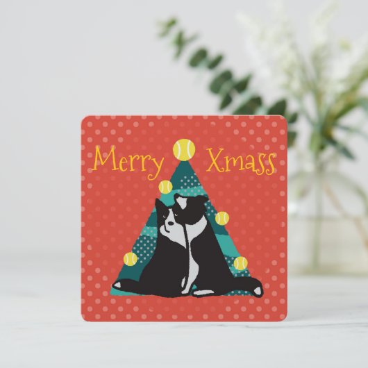 Border collies get a tree with balls kaart (Staand voorkant)