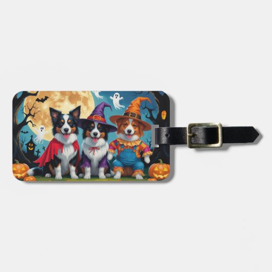Border Collies Honden Pompoen Halloween Grappig Bagagelabel (Voorkant horizontaal)