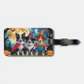 Border Collies Honden Pompoen Halloween Grappig Bagagelabel (Achterkant horizontaal)