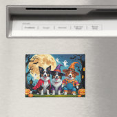 Border Collies Honden Pompoen Halloween Grappig Magneet (Insitu (Vaatwasser))