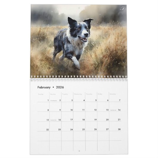 Border Collies Kalender, elk jaar Kalender (Feb 2026)