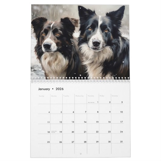 Border Collies Kalender, elk jaar Kalender (Jan 2026)