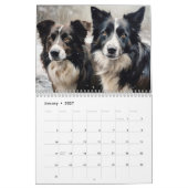Border Collies Kalender, elk jaar Kalender (Jan 2027)