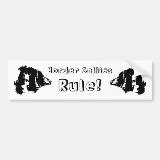 Border Collies Regeren Schattige Hond Bumpersticker (Voorkant)