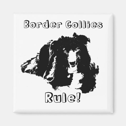 Border Collies Rule Funny Dog Magnet (Voorkant)
