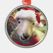 Border Leicester Lamb Garth Ornament (Voorkant)