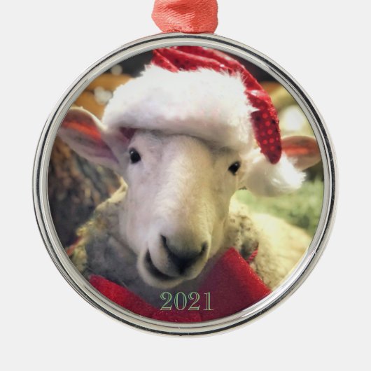 Border Leicester Lamb Garth Ornament (Voorkant)