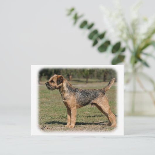 Border Terrier 9Y325D-033 Briefkaart (Staand voorkant)