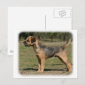 Border Terrier 9Y325D-033 Briefkaart (Voorkant / Achterkant)