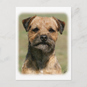 Border Terrier 9Y325D-038 Briefkaart