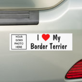 Border Terrier Bumpersticker (Op auto)