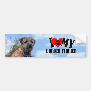 Border Terrier Bumpersticker