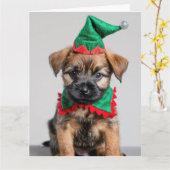 Border Terrier Elf Puppy Kerst Kaart (Gele Bloem)
