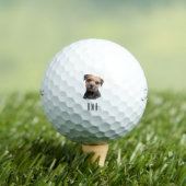 Border Terrier Golfballen (Insitu Shirt)