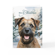 Border Terrier Hond Bos Kerstdag