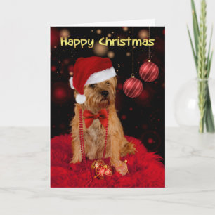 Border Terrier hond in een kerstmuts Happy Christm Feestdagen Kaart