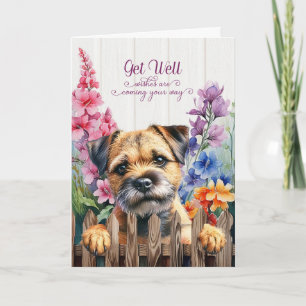 Border Terrier-hond met Gladiolus Tuin Snel Beter Kaart