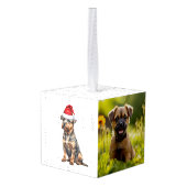 Border Terrier hond twee foto kerstvakantie Decoratie (Achter hoekig)