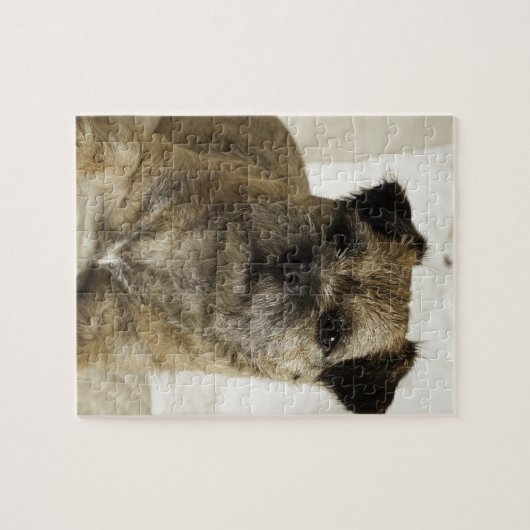 Border Terrier Legpuzzel (Horizontaal)
