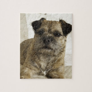 Border Terrier Legpuzzel