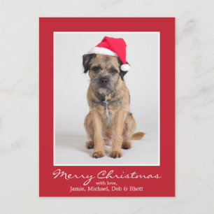 Border Terrier met een Santa Hat Feestdagenkaart