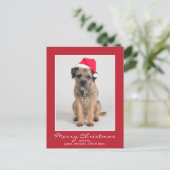 Border Terrier met een Santa Hat Feestdagenkaart (Staand voorkant)
