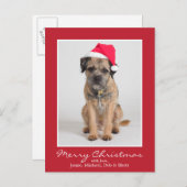 Border Terrier met een Santa Hat Feestdagenkaart (Voorkant / Achterkant)