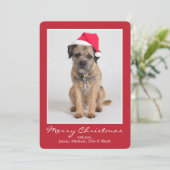 Border Terrier met een Santa Hat Feestdagenkaart (Staand voorkant)