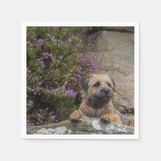 Border Terrier Papieren servetten (Voorkant)